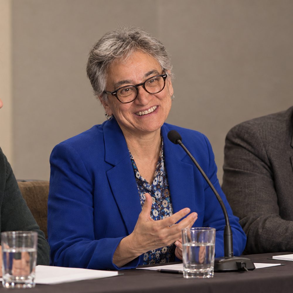 On a conference panel